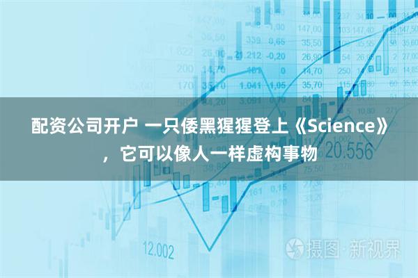 配资公司开户 一只倭黑猩猩登上《Science》，它可以像人一样虚构事物